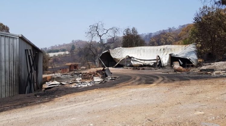Bushfire-damaged shed at Wilgro Orchards