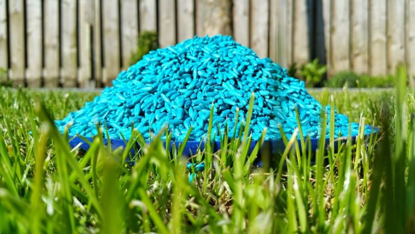 Mound of bright blue rodent poisoning