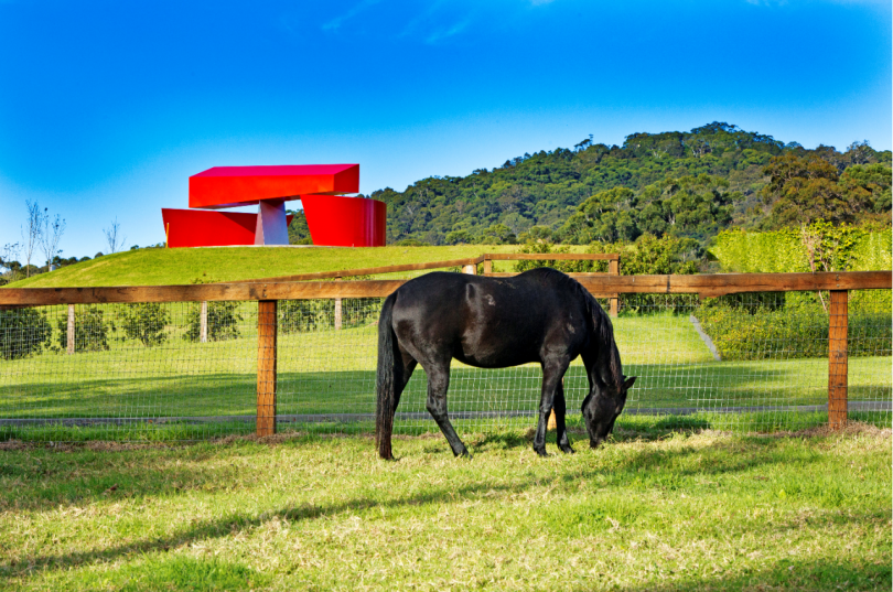 Black horse grazing at Willinga Park, with sculpture in background
