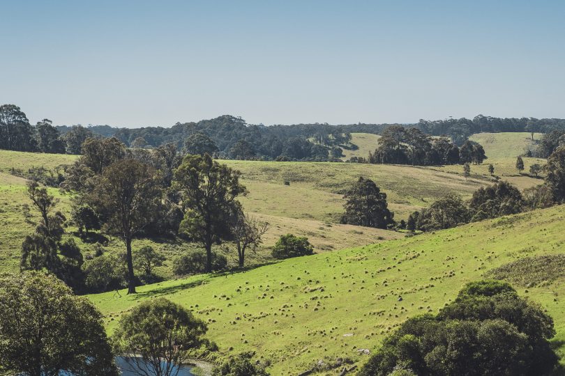 Eurobodalla farmland