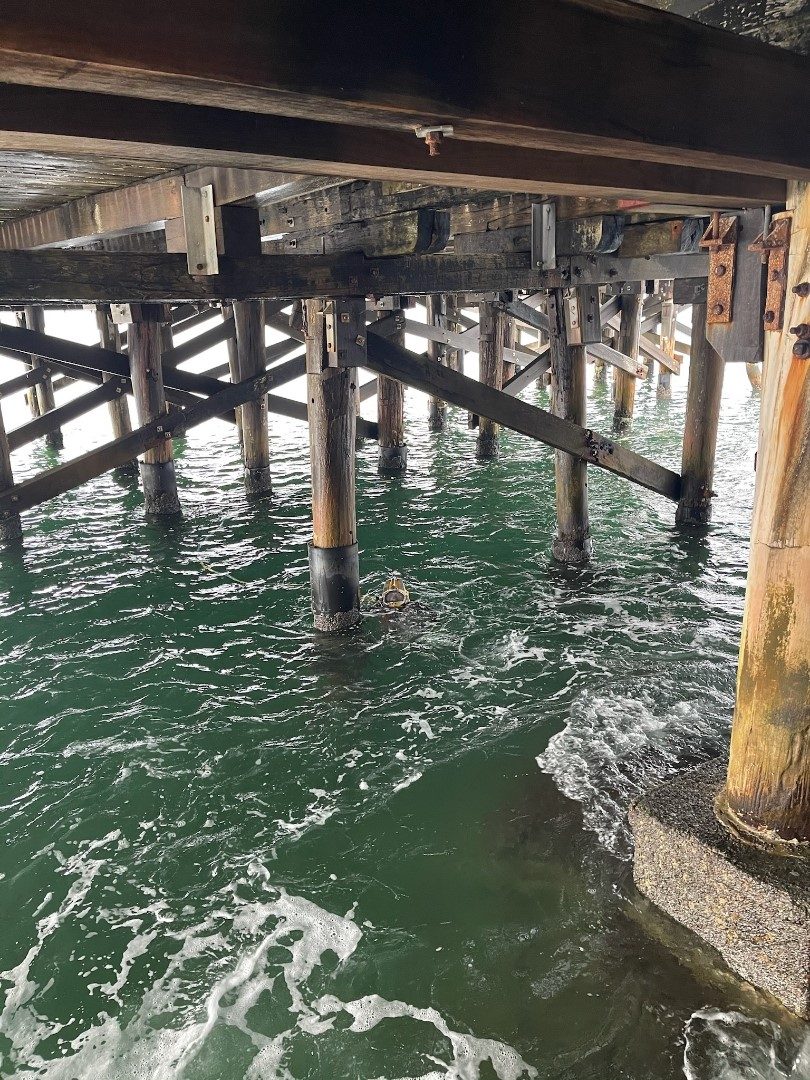 Tathra wharf piles