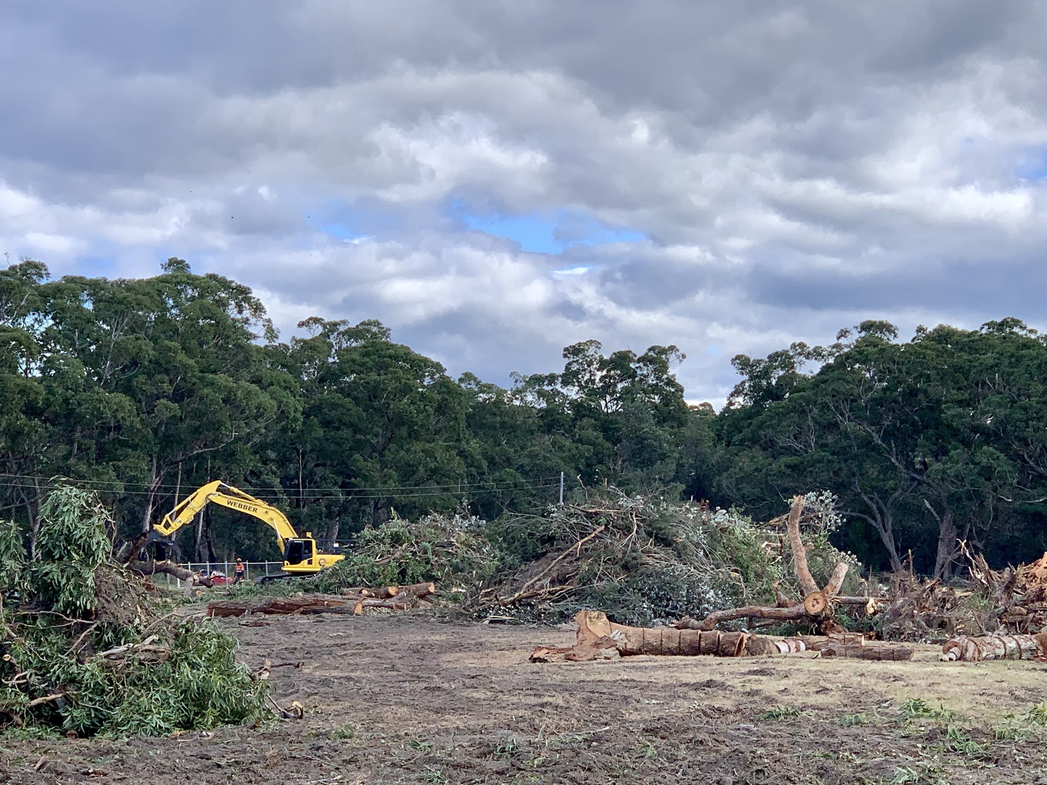 Broulee community furious about lack of consultation over land clearing for development
