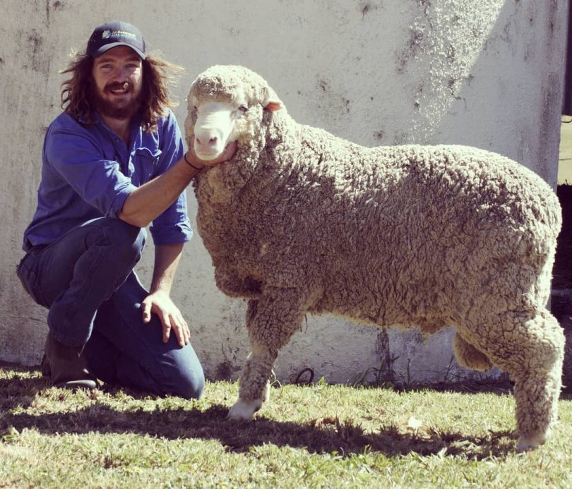 Sam Picker with ram on farm
