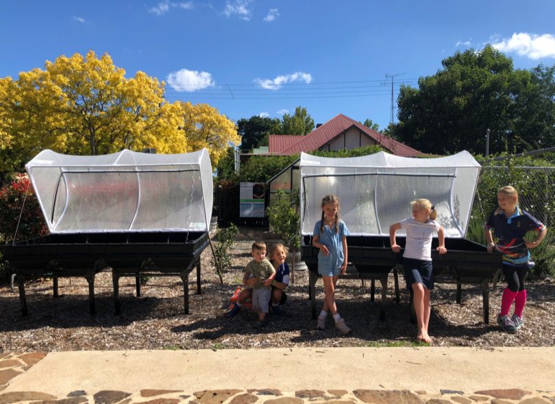 Crookwell Public students by vege boxes 
