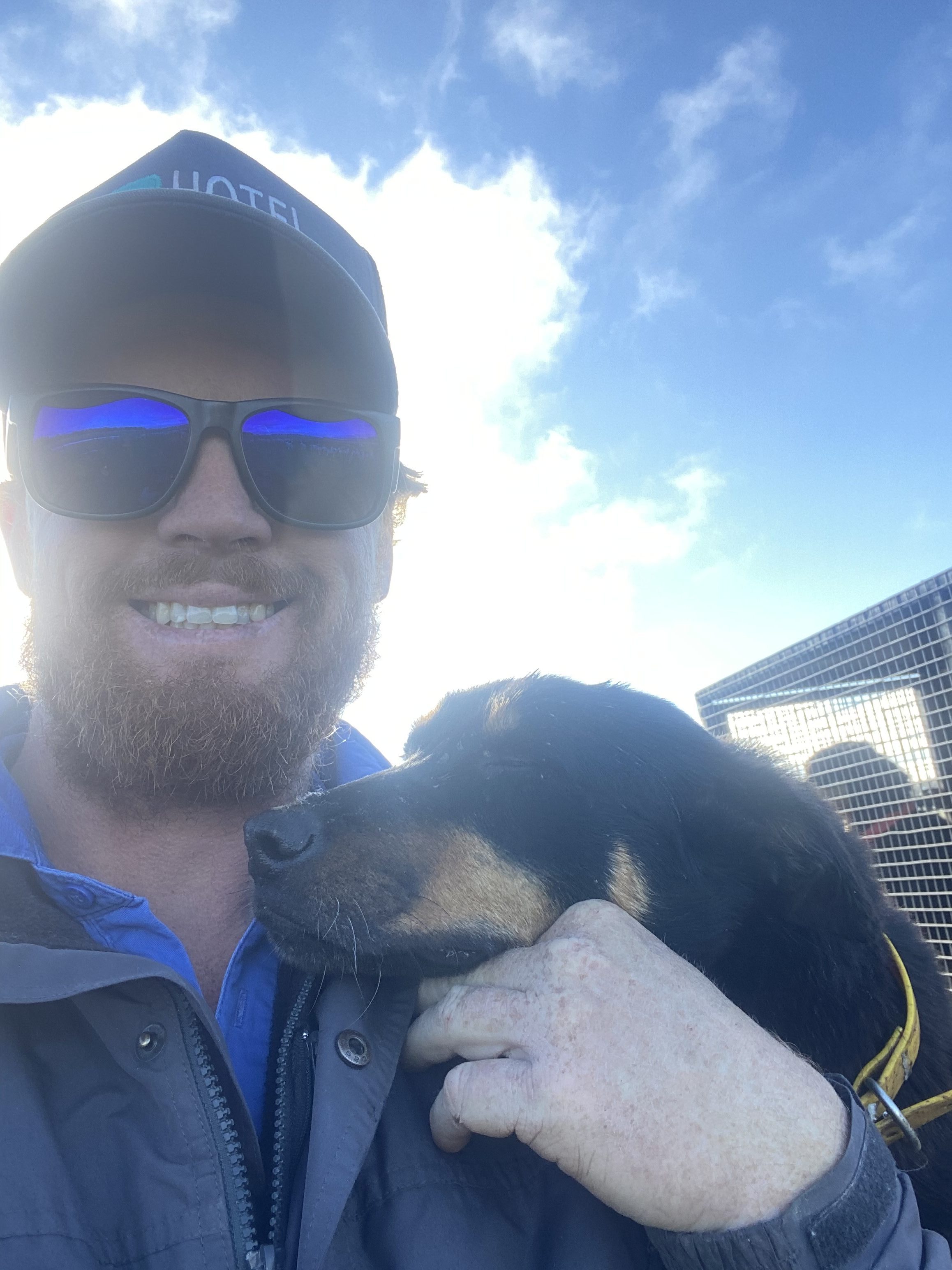 The search is on for Australia's hardest working dog