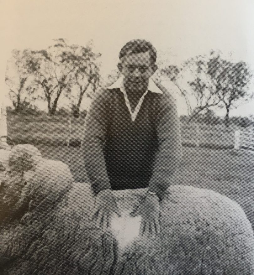 John Williams wool sheep