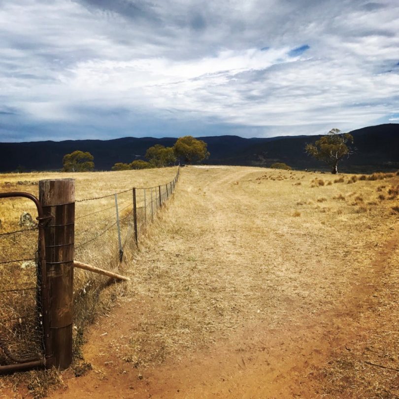 Fence line along rural property
