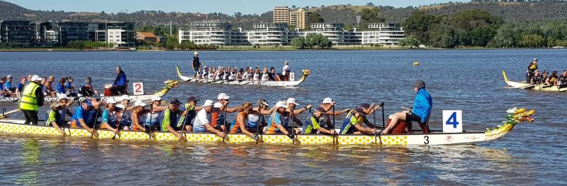 Dragon boaters competing on Lake Burley Griffin