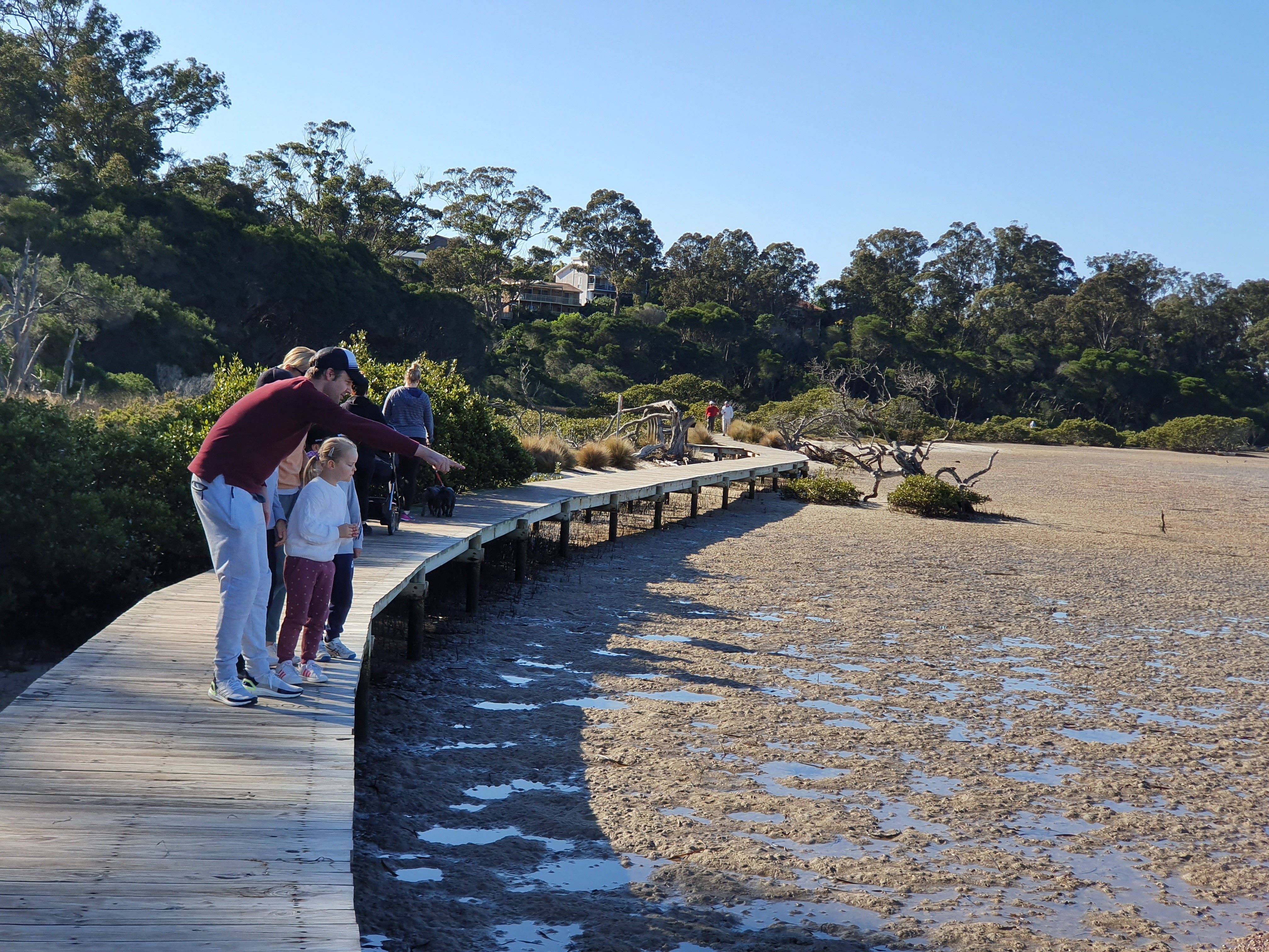 Council adds another plank to the Merimbula Boardwalk renewal project