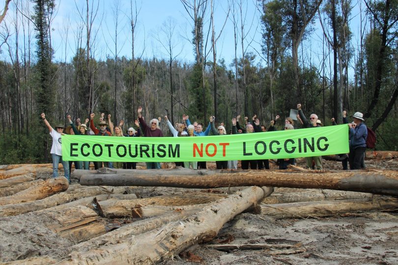 'Ecotourism not logging' banner.