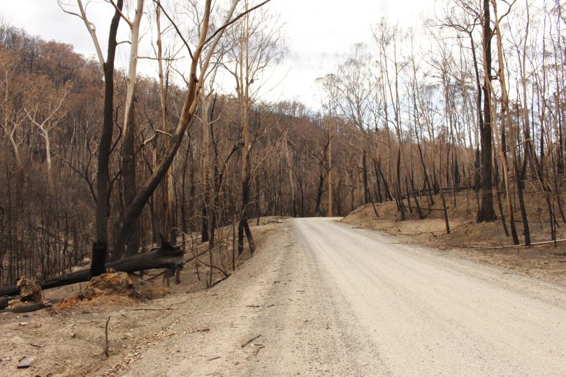 2019‑20 NSW bushfire season