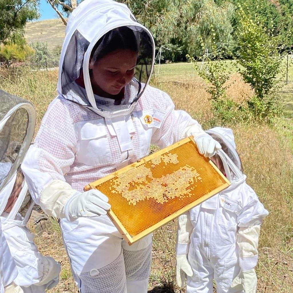 Binda Public School's nine students suit up as beekeepers