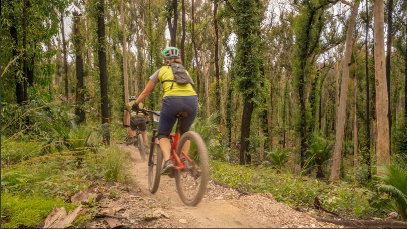 Man and woman mountain bike riding in bushland