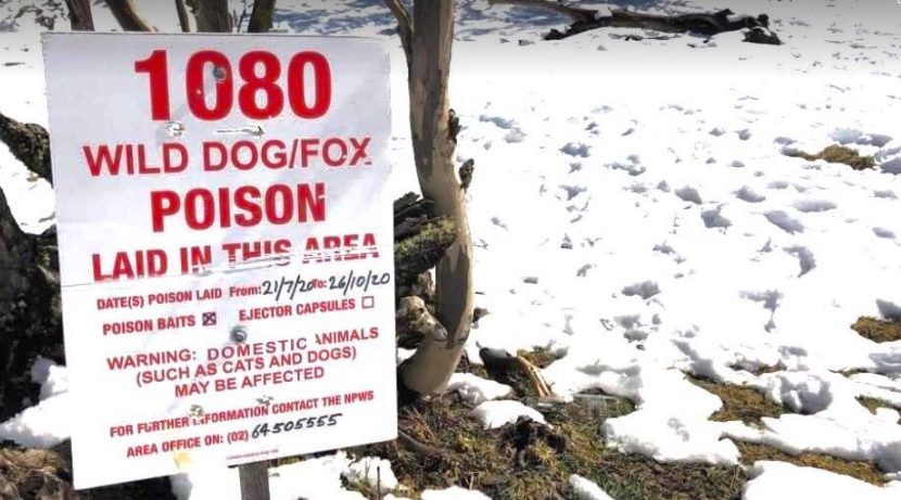 Sign warning of wild dog/fox baiting in Kosciuszko National Park