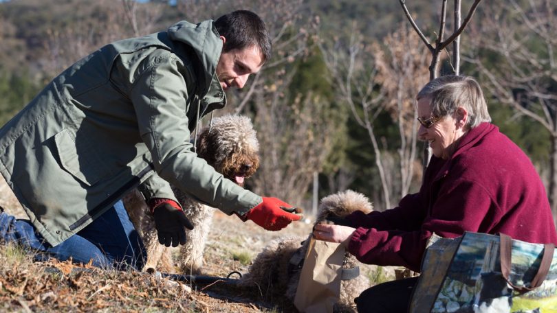 People on truffle hunt with dogs at Macenmist