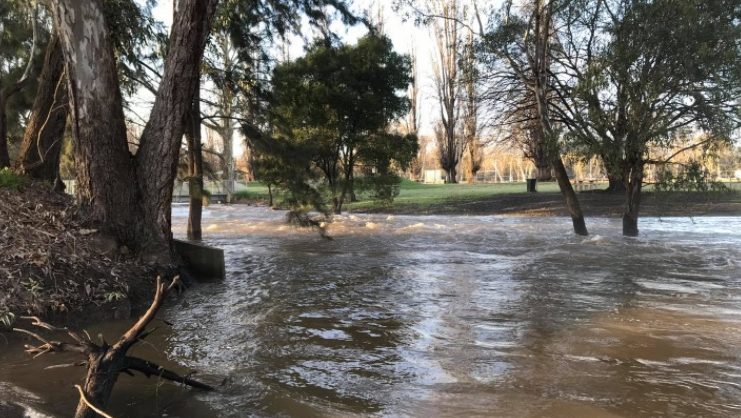 River levels rise near Morleys Creek campgrounds at Gundagai