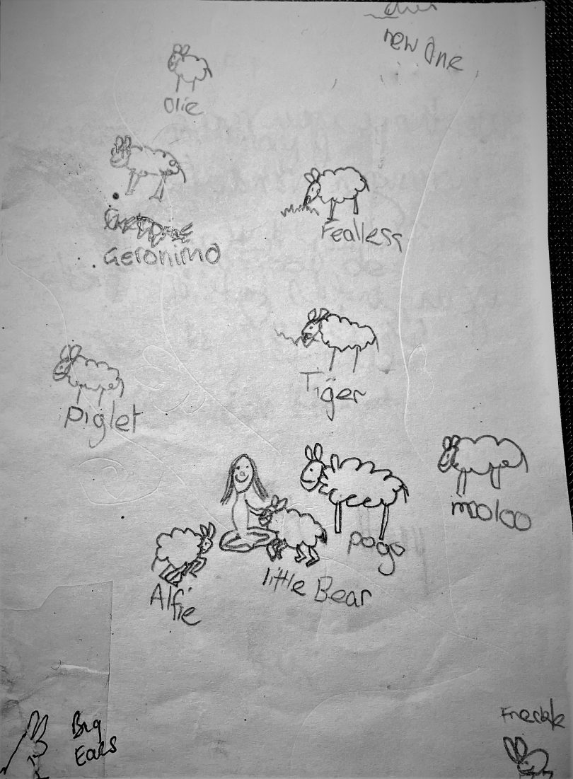 Lamb drawings