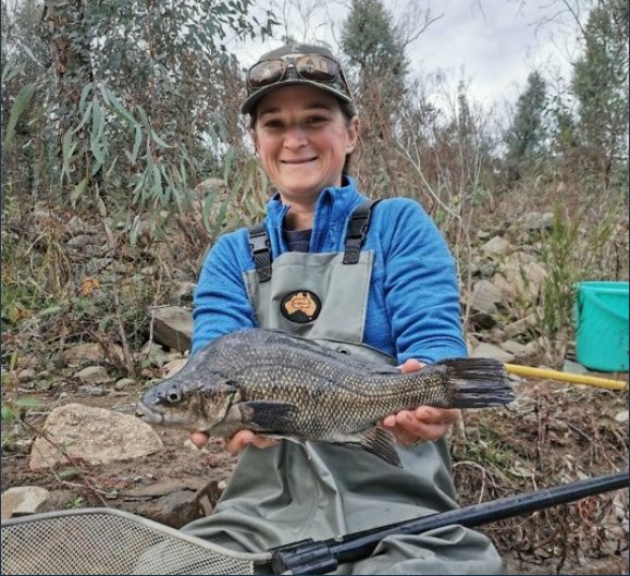 Dr Katie Doyle holding Macquarie perch fish at Mannus Creek