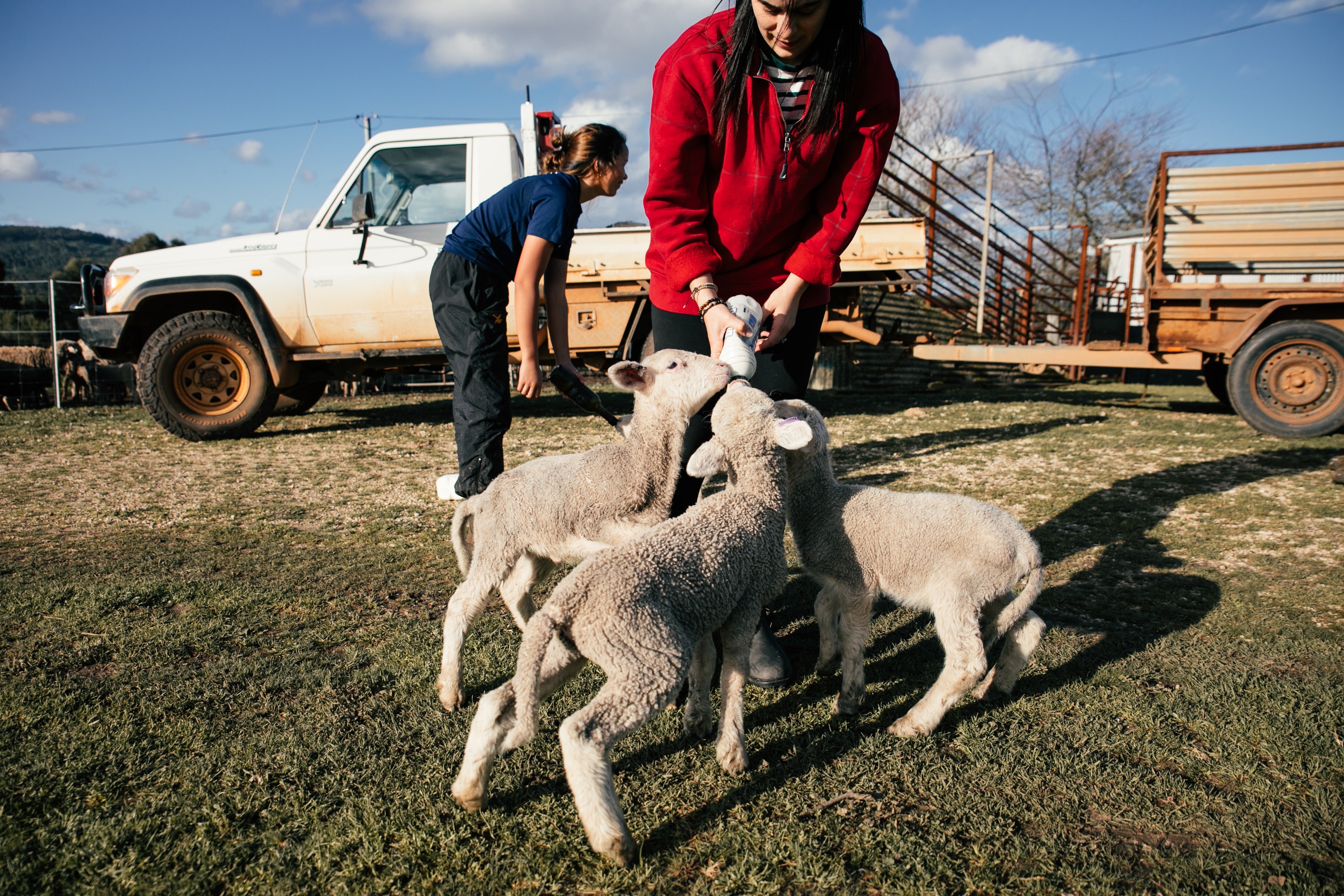 BEST OF 2021: The one, two, threes of successfully raising orphan lambs