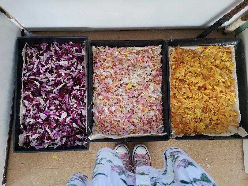 Dried edible flowers