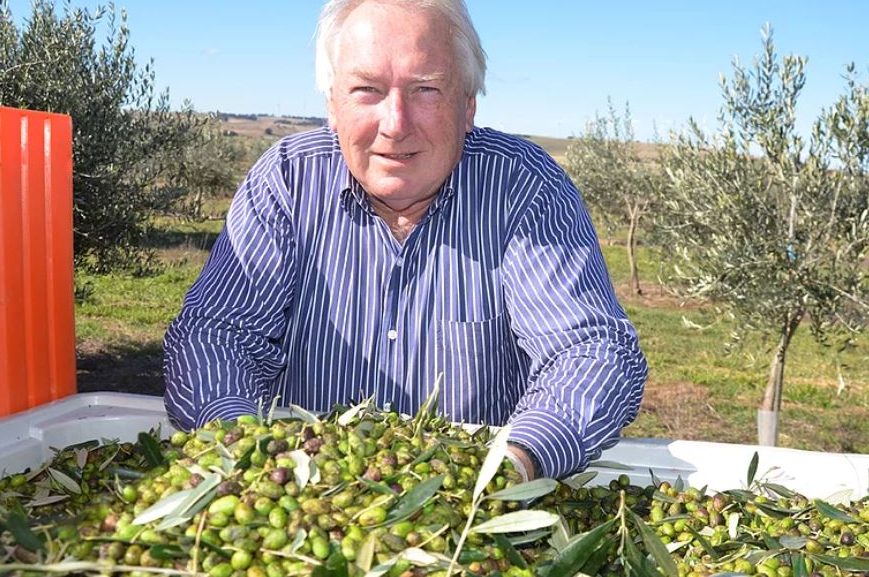 Olive growers enjoy their moment in the sunshine as appetite for the good oil grows