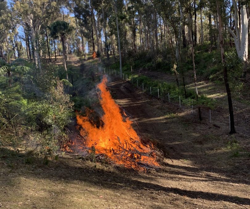 Pile burn at Malua Bay