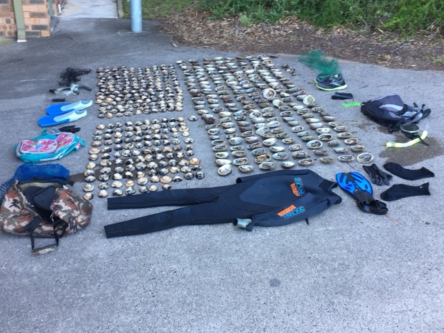 Recovered abalone and diving gear