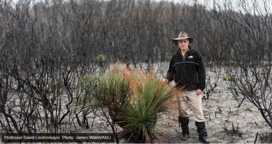 'It's a ticking time bomb' - calls for logging near towns to cease to reduce fire risk