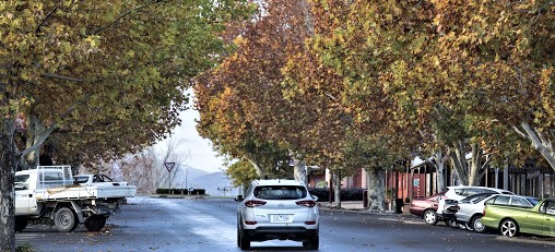 Car driving on tree-lined road in Tumut