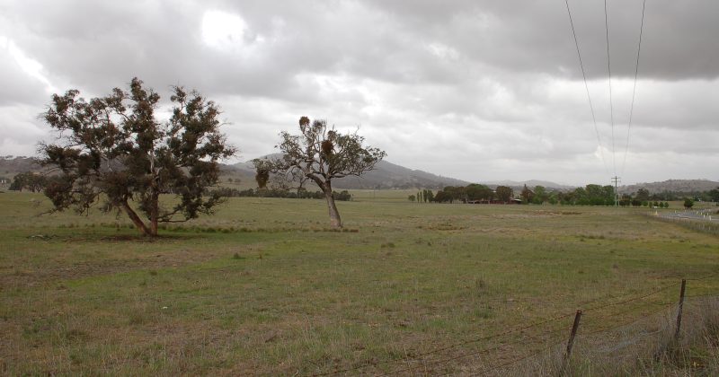 Regional council buries plans for proposed cemetery, despite spending $4 million on project