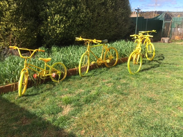 Yellow bikes