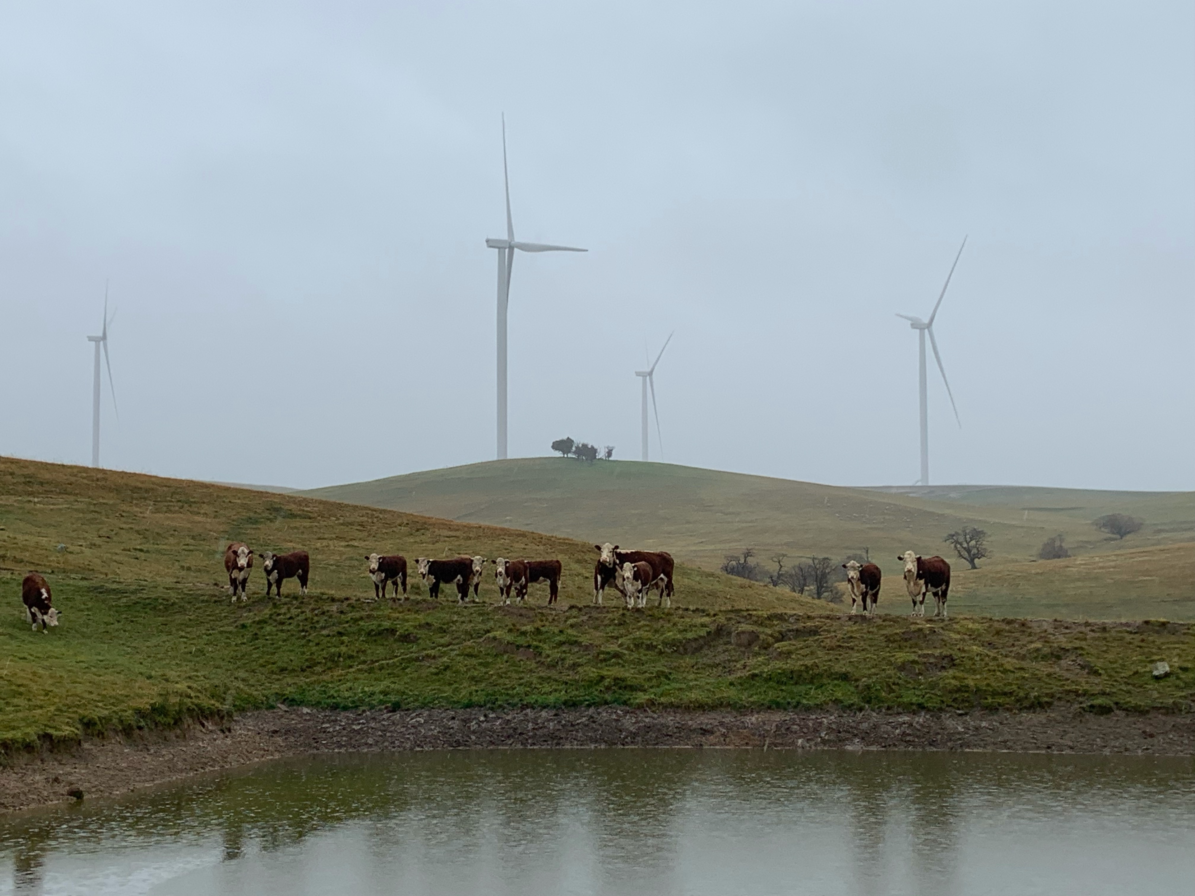 New Crookwell wind farm to inject funds into local community
