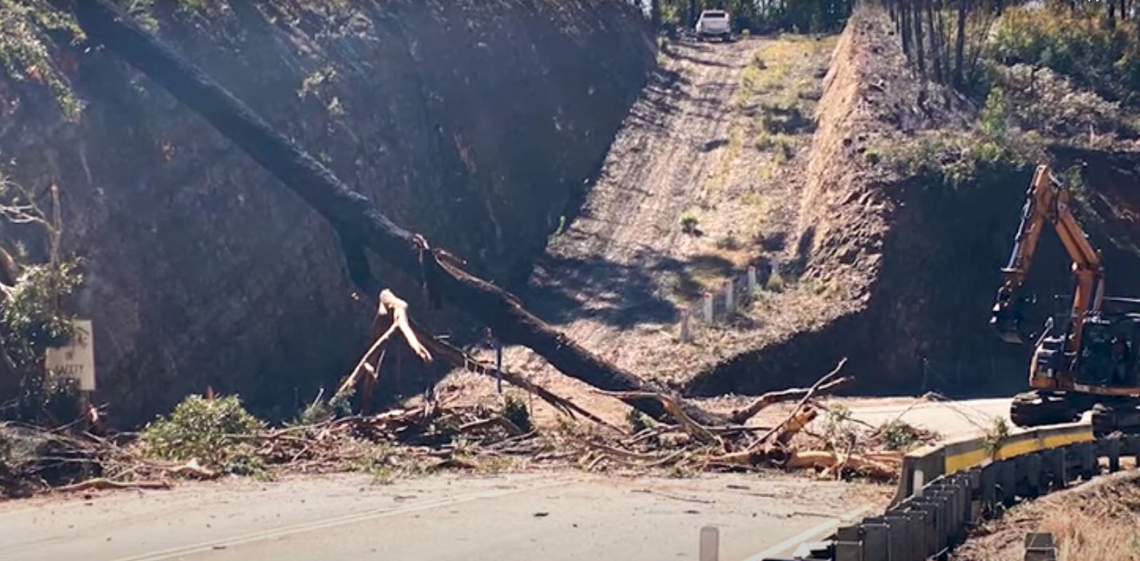 Watch the tree removal work underway on the Kings Highway