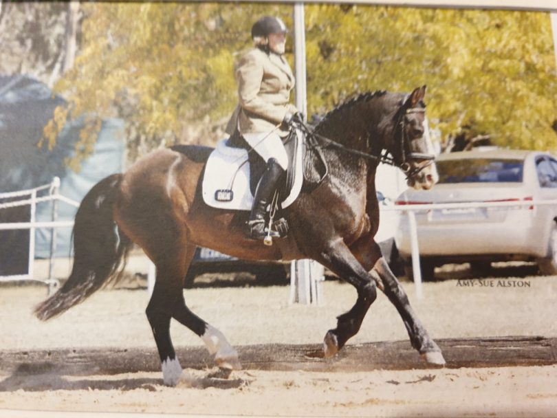 Jill Doyle at equestrian competition