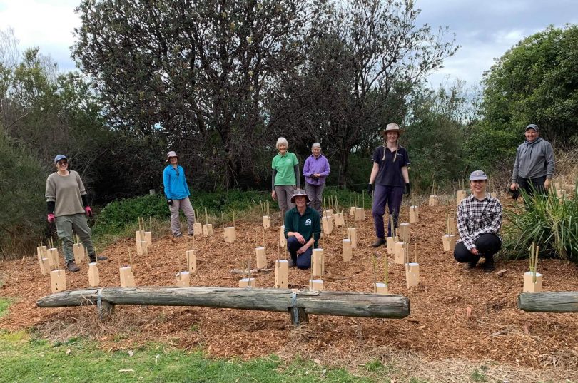 Landcare volunteers planting trees in Eurobodalla Shire