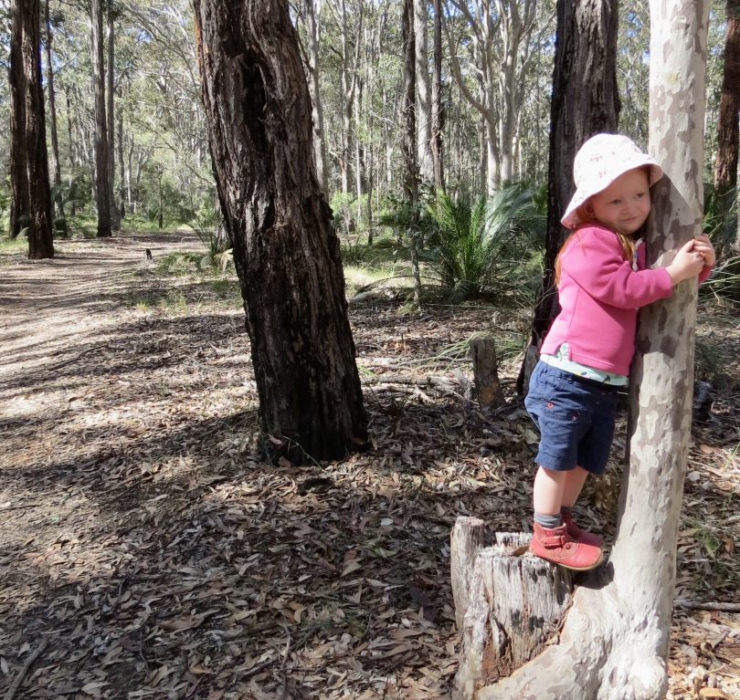 Little girl hugging tree