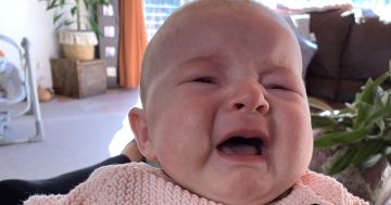 Crying baby no laughing matter, so play it safe in public