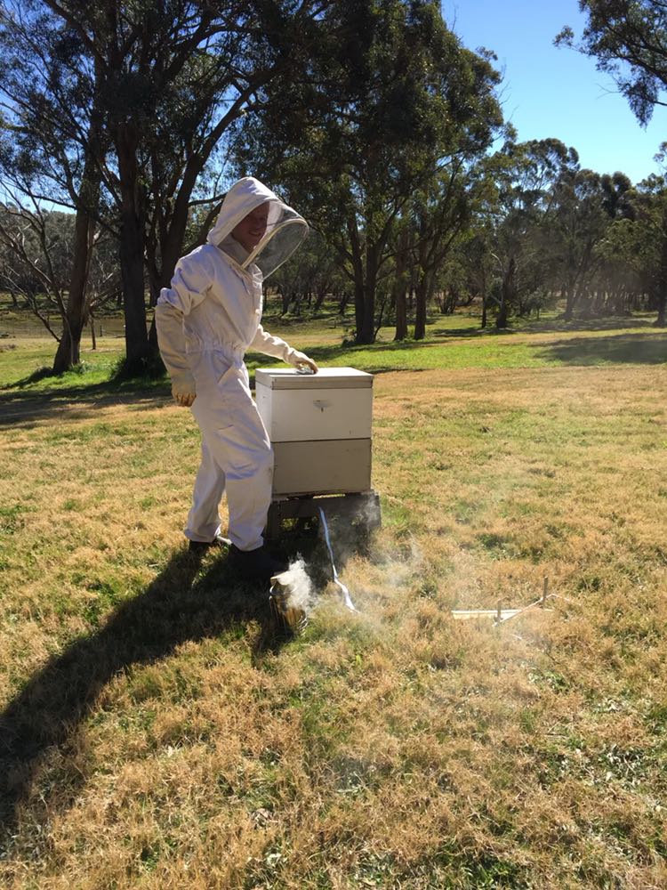 Liam Snowden tending to one of his eight hobby hives