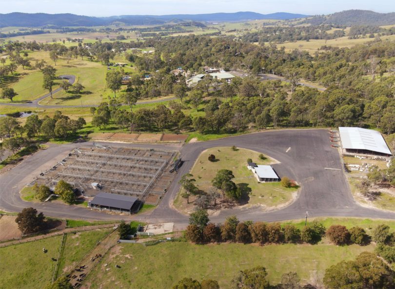 Bega Saleyards