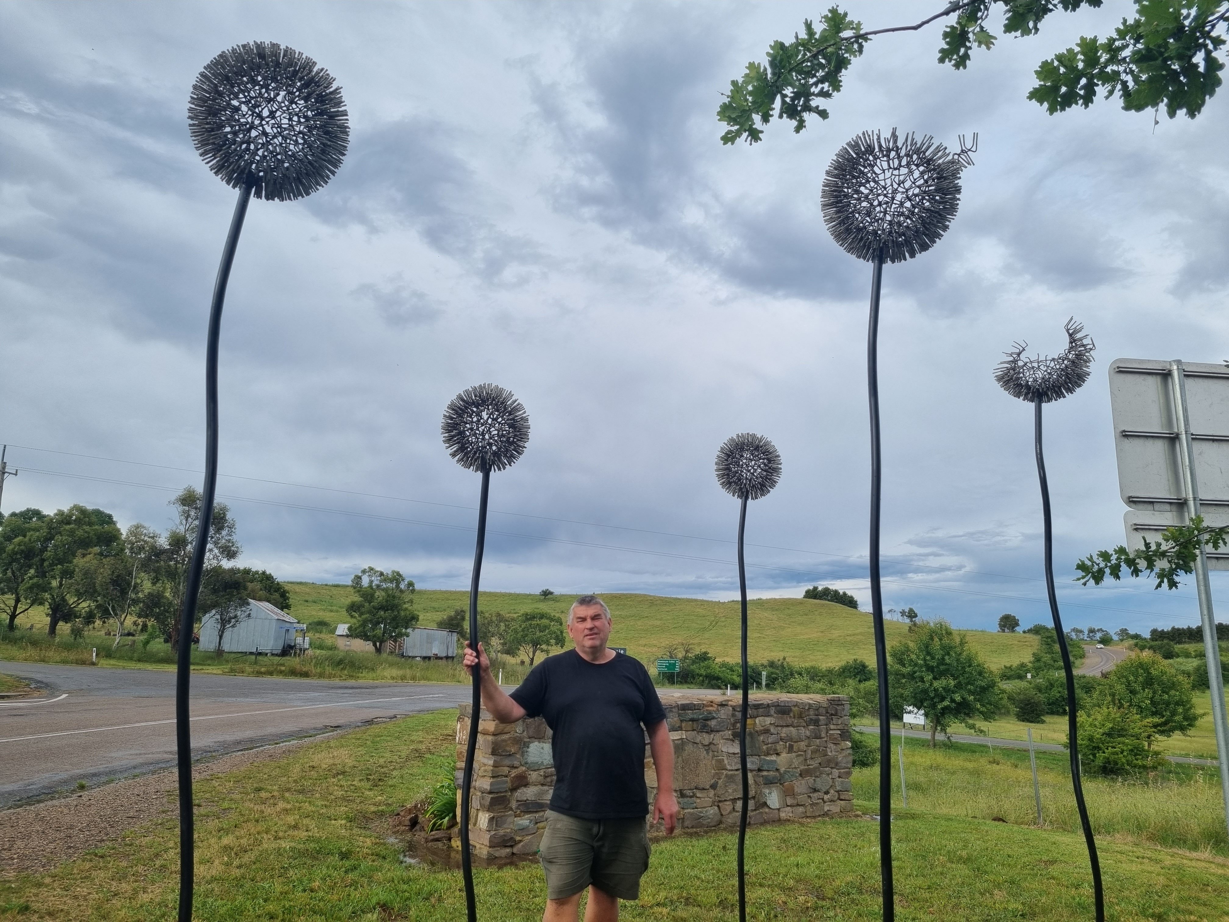 Dandelions sculpture blows away Taralga village