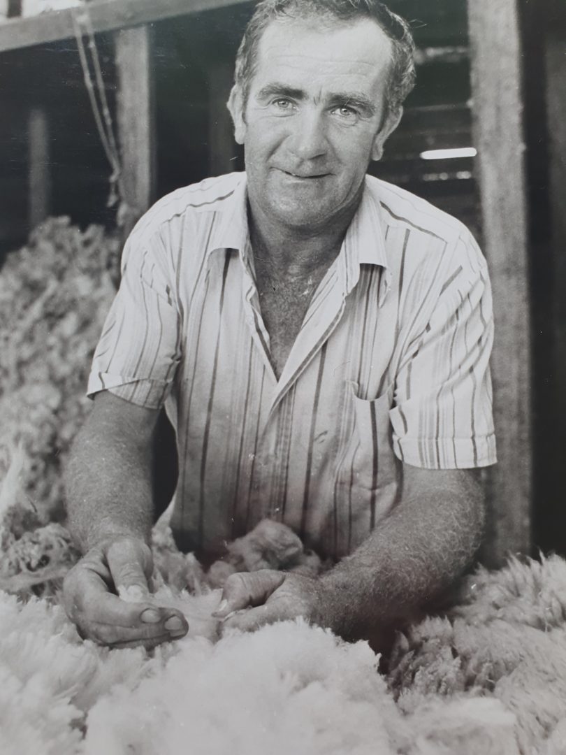 Man in shearing shed