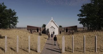 Two Riverina arts powerhouses set to transform storytelling with major funding boost