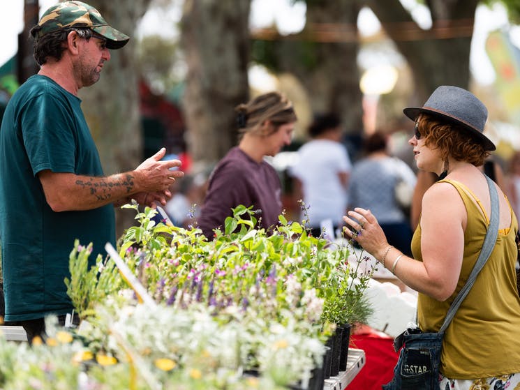 Shoppers and stallholders at Young and Region Farmers Markets