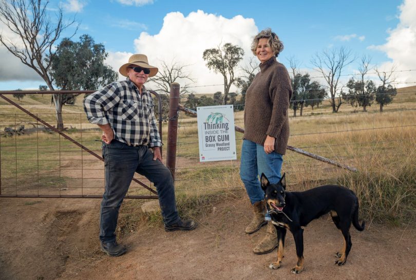 Man, woman and dog on the farm. 