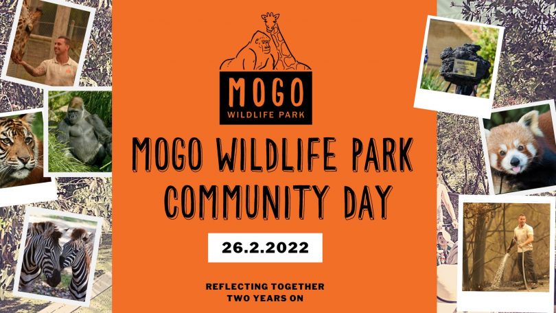 Mogo Zoo poster