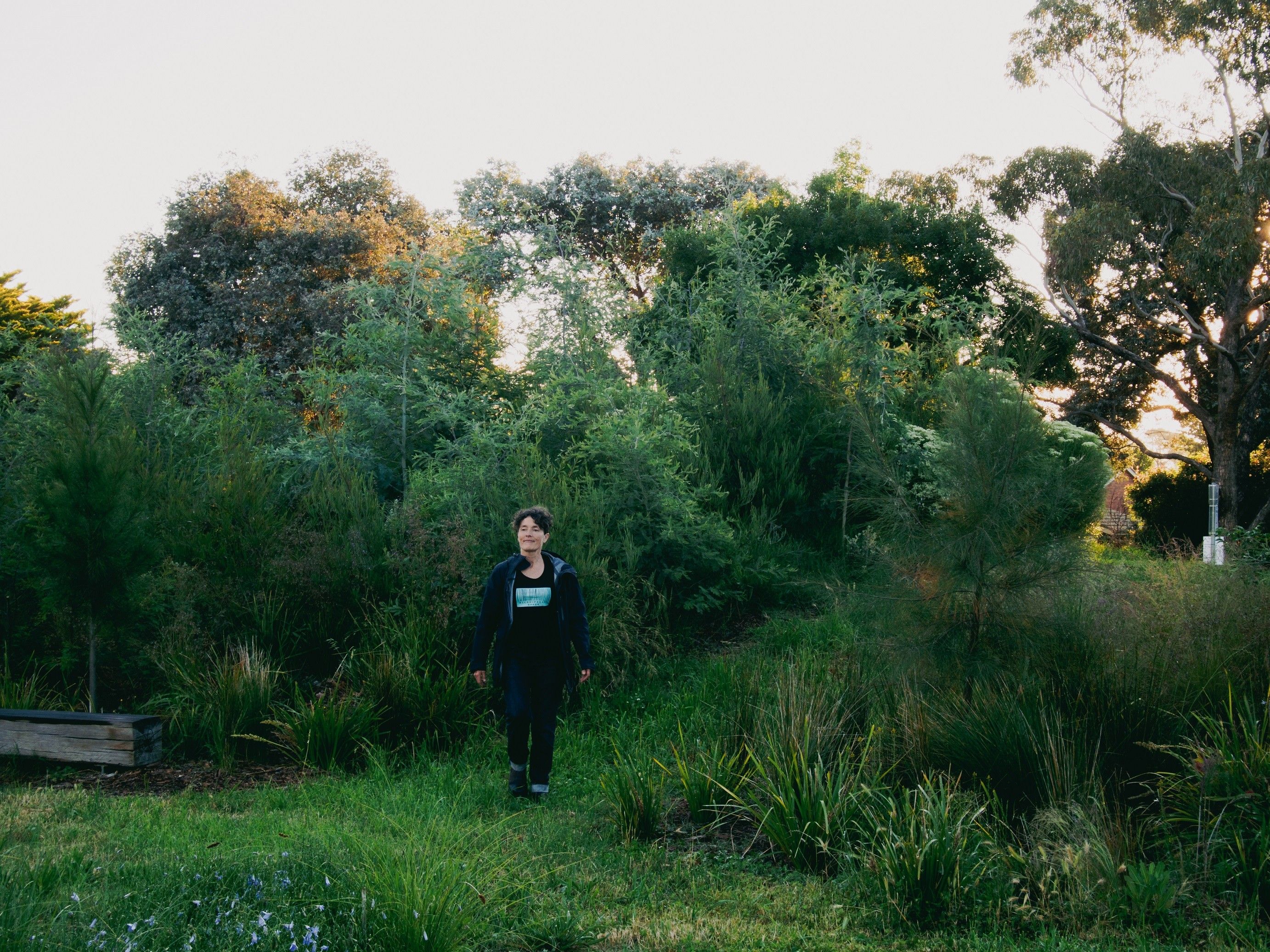 Canberra's 'micro-forest maker' looks to Eurobodalla for her next project
