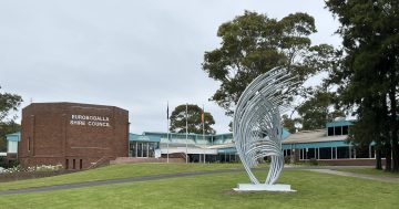 $100,000 sculptures gifted to Moruya speaks highly of exhibition centre