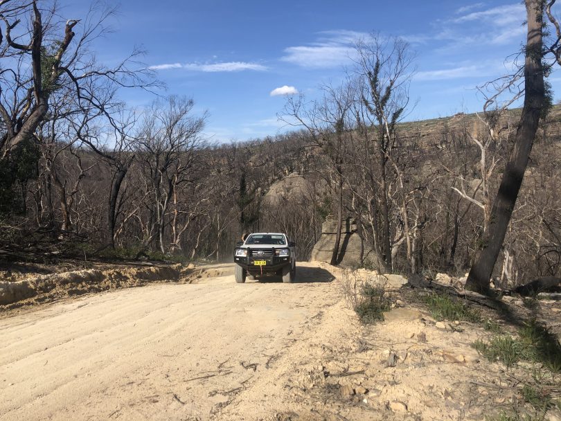 4WD on bush track in fire-ravaged area.