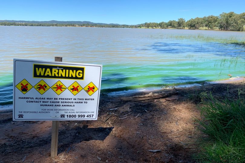 Warning sign in front of Lake Albert