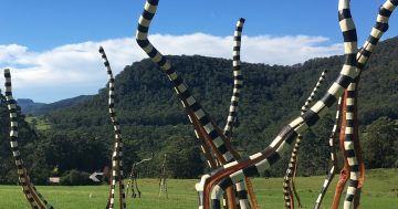 Two new faces help shape sculpture festival's happy return to Kangaroo Valley